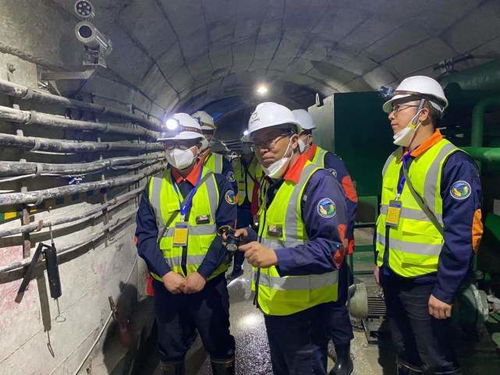 隆陽(yáng)區(qū)深入推進(jìn)非煤礦山安全生產(chǎn)大排查大整治工作，筑牢安全生產(chǎn)防線